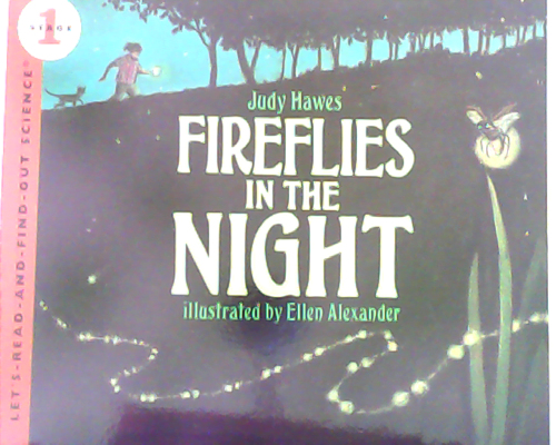 Let‘s read and find out science：Fireflies in the Night  L3.3